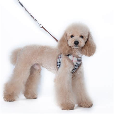 burberry dog harness